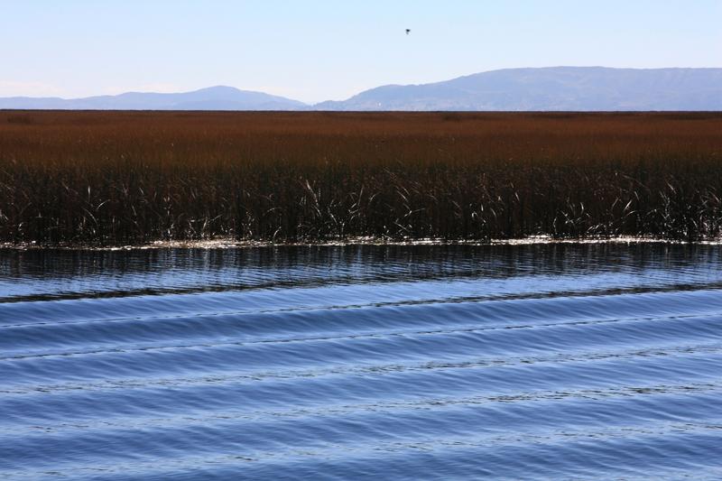 770-Lago Titicaca,13 luglio 2013.JPG